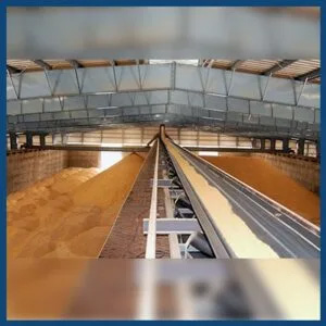 Warehouse Mechanization (1)
